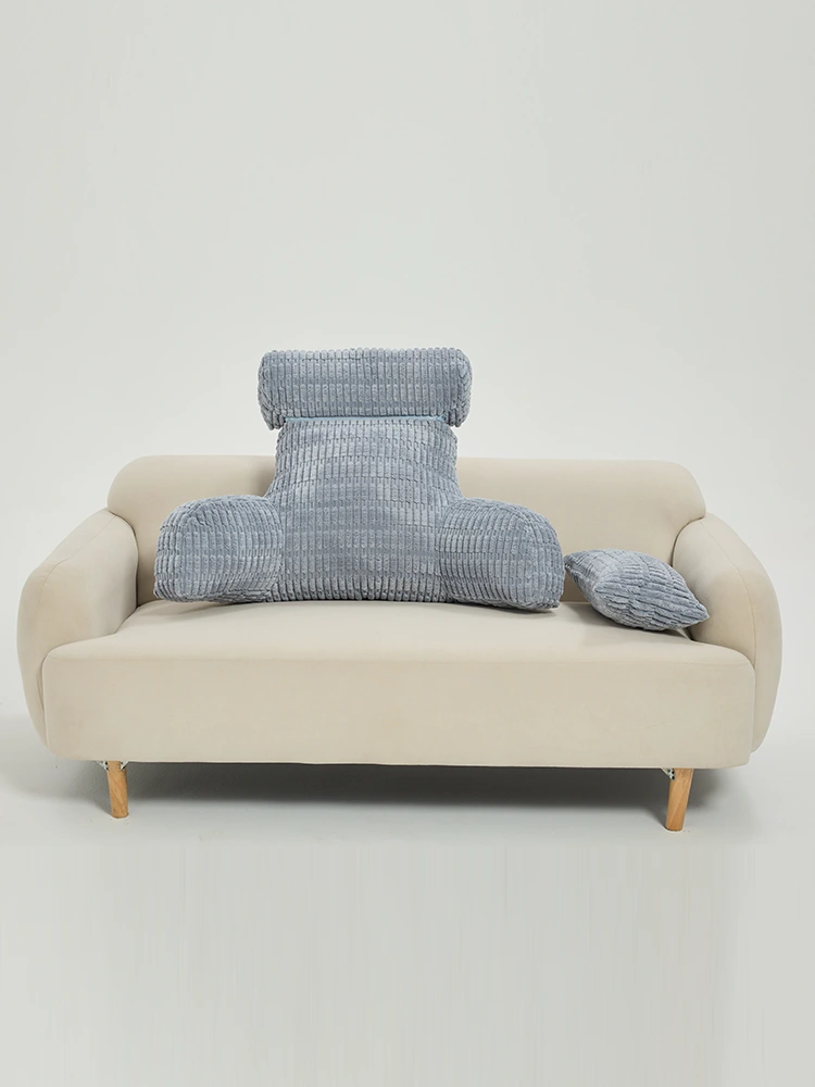 Lumbar Support Pillow